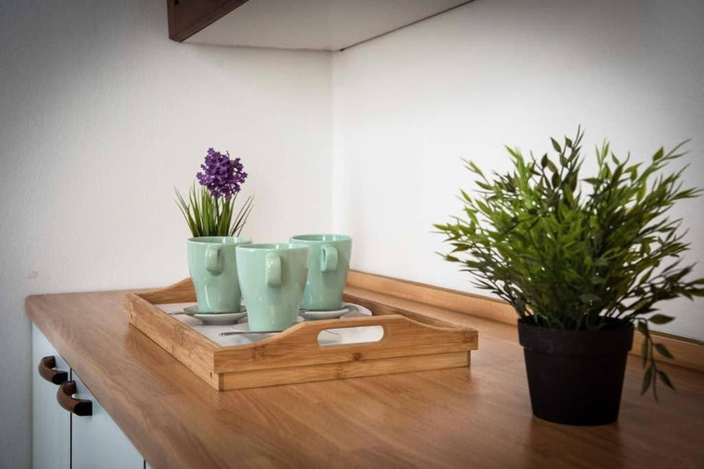 Apartament Casa Letizia Ponsacco Zewnętrze zdjęcie