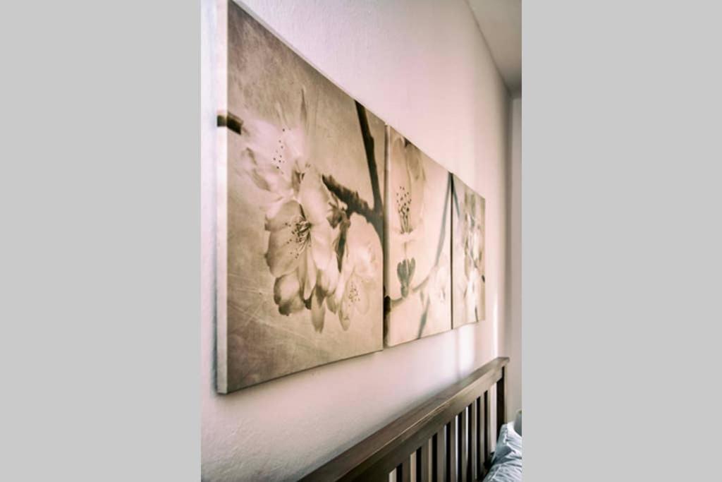Apartament Casa Letizia Ponsacco Zewnętrze zdjęcie